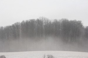 nebelige winterlandschaft | h.anna