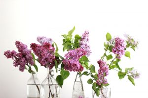 deko mit flieder - blumenarrangements in der vase | h.anna